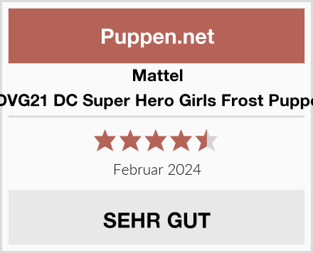 Mattel DVG21 DC Super Hero Girls Frost Puppe Test