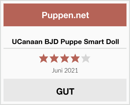  UCanaan BJD Puppe Smart Doll Test
