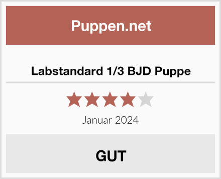  Labstandard 1/3 BJD Puppe Test