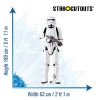 Star Wars Ausschnitt Imperialer Stormtrooper
